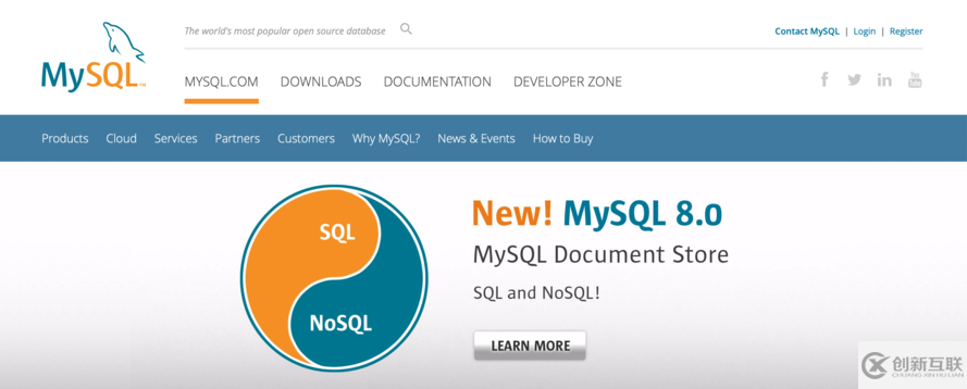 MySQL早期发展史