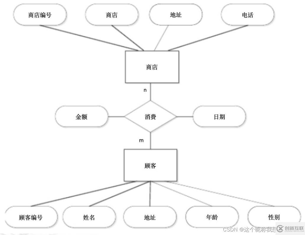 SQL server数据库应用系统的知识点有哪些