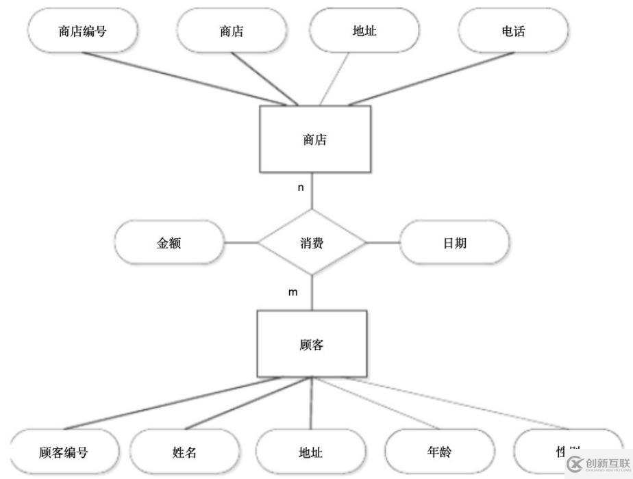 SQL server数据库应用系统的知识点有哪些