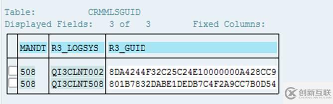 SAP CRM中间件系统搭建中遇到的问题怎么解决