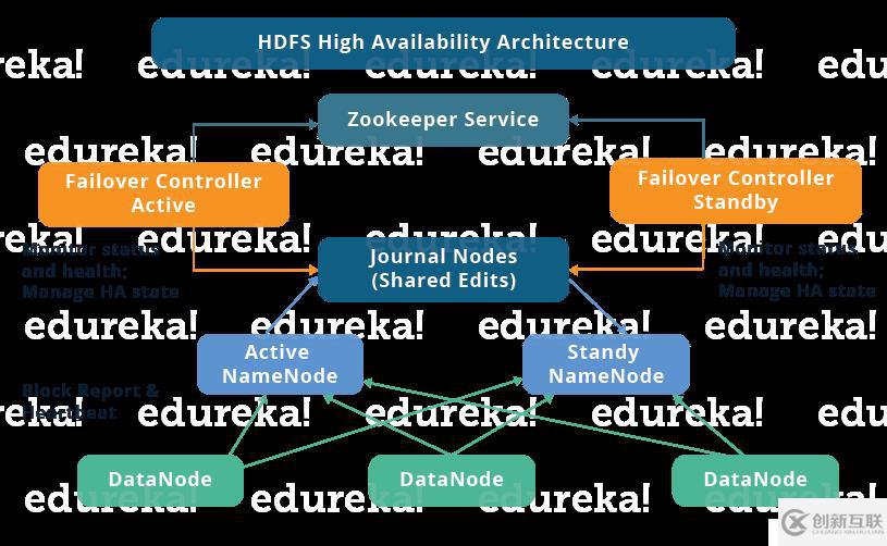 Hadoop 系列（八）—— 基于 ZooKeeper 搭建 Hadoop 高可用集群