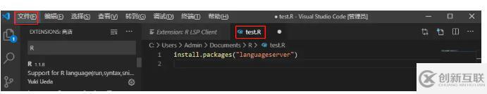 vscode怎么写r语言