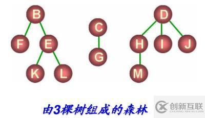 八、树和二叉树