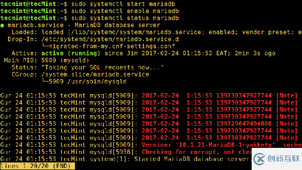 怎么在Debian和Ubuntu上安装MariaDB 10