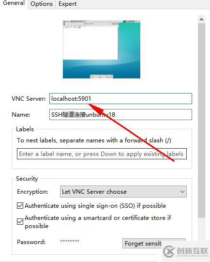 虚拟化云计算-使用vnc view连接公有云服务器