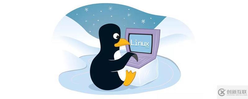 Linux中的安装文件默认放在哪个位置