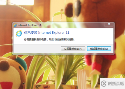 XP系统安装ie提示“安装了更新的Internet Explorer版本”的原因及解决办法