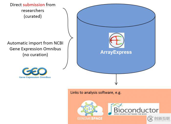 怎么理解ArrayExpress数据库