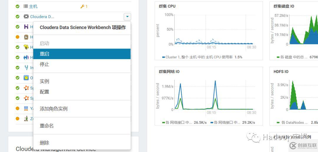 怎么为CDSW的数据目录扩容