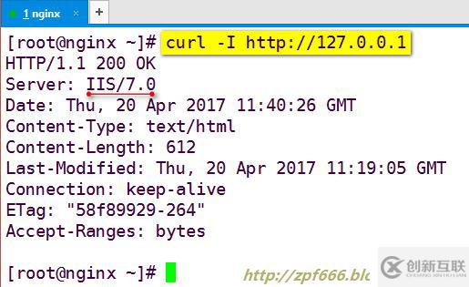 深层解析Nginx的优化与防盗链