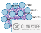 如何使用基因富集分析在线工具metascape