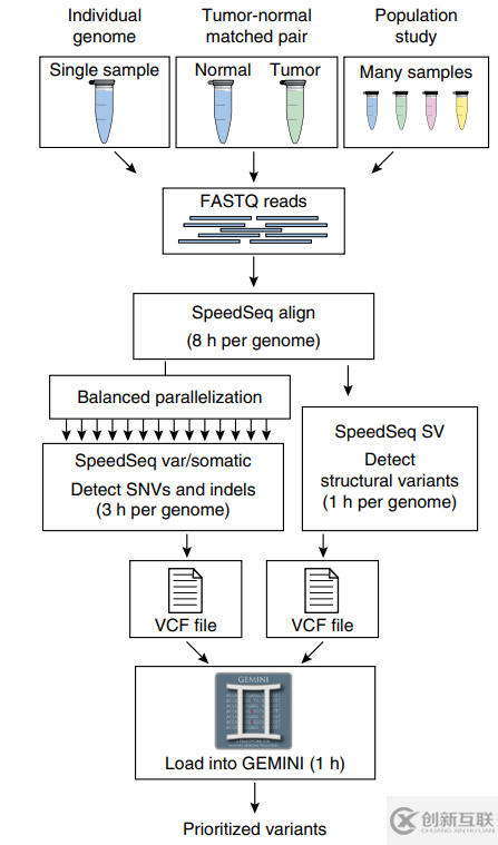 如何理解基因组数据分析软件SpeedSeq