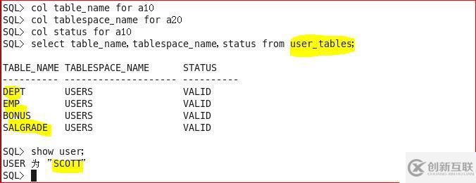 Oracle 11g R2 数据字典