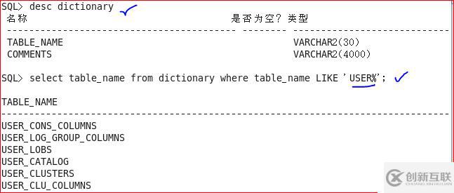 Oracle 11g R2 数据字典