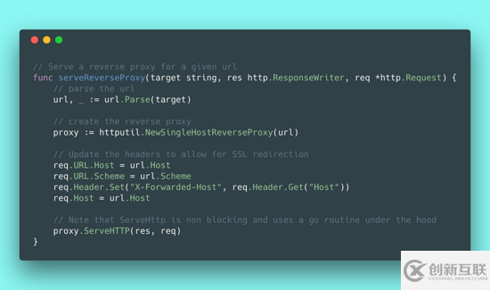 1行Go代码实现反向代理的示例