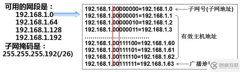 IP 和子网划分