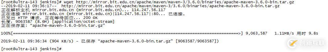 持续集成之Jenkins及Maven安装配置