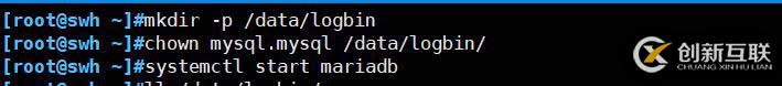 两个场景下Mysqldump数据库备份恢复