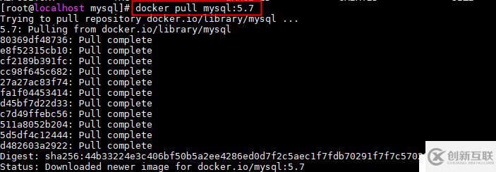 docker 安装mysql5.7