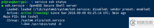 树莓派中如何查看ssh服务是否正常运行