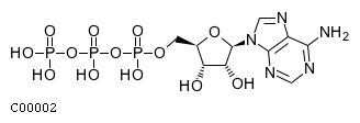 KEGG API的用法是怎样的