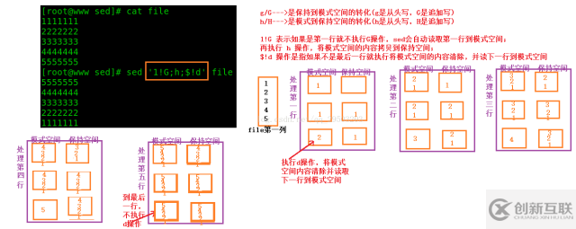 shell中sed怎么用