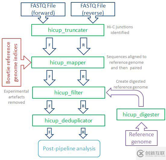 如何使用HiCUP进行Hi-C数据预处理