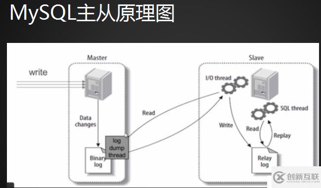 MySQL主从配置：主从介绍、配置主和从  、测试主从同步