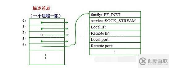 linux sock文件指的是什么