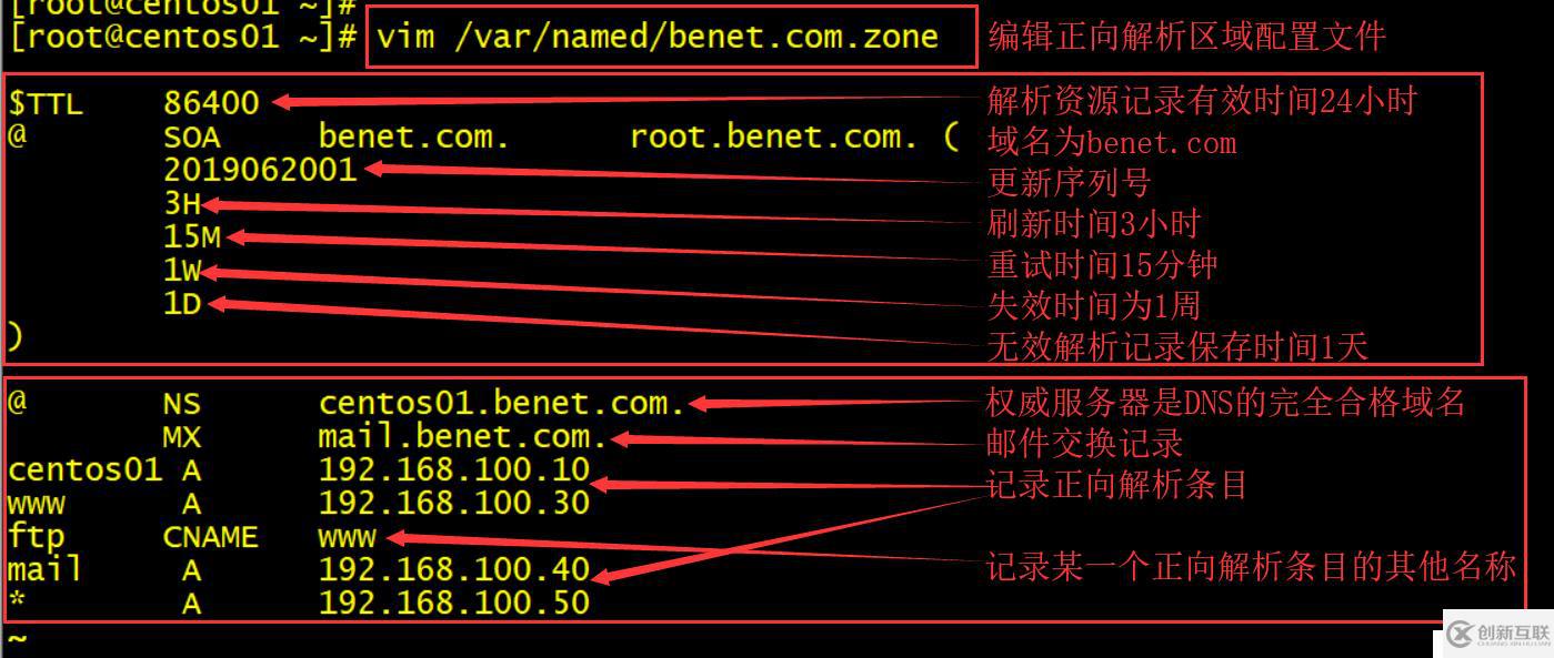 CentOS7如何搭建DNS服务