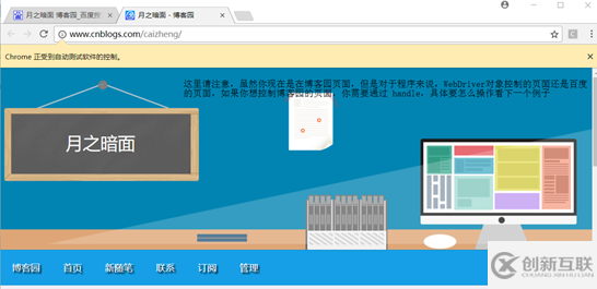 selenium + ChromeDriver安装及使用方法