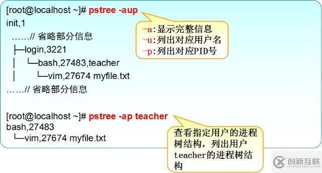 linux查看进程的方法