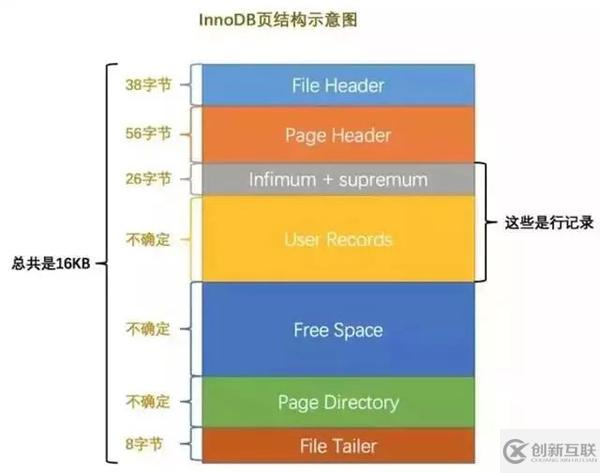 数据库中的索引和锁底层原理是什么