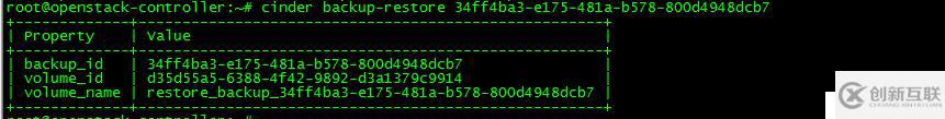 OpenStack实践(六):Cinder模块Backup and Restore Volume