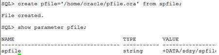 Oracle 11g RAC将归档从ASM修改到本地