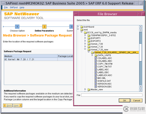 使用SWPM安装 SAP ERP6.0 on solaris 10