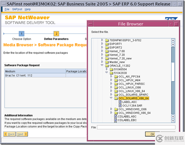 使用SWPM安装 SAP ERP6.0 on solaris 10