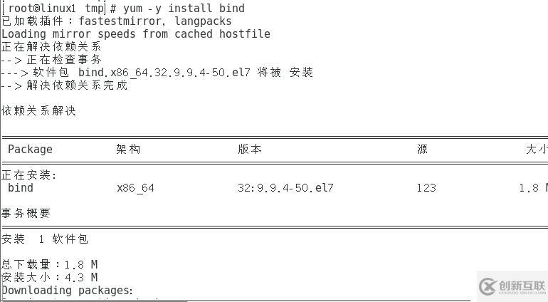 Linux搭建DNS分离解析服务