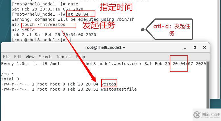 系统定时任务及延迟任务