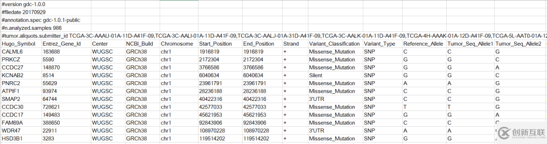 如何理解Mutation Annotation Format格式