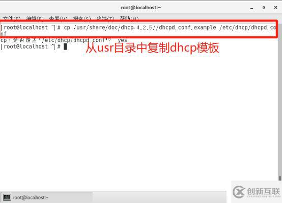 架构DHCP+DNS+WEB综合服务