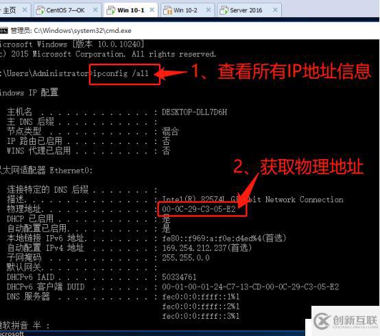 架构DHCP+DNS+WEB综合服务