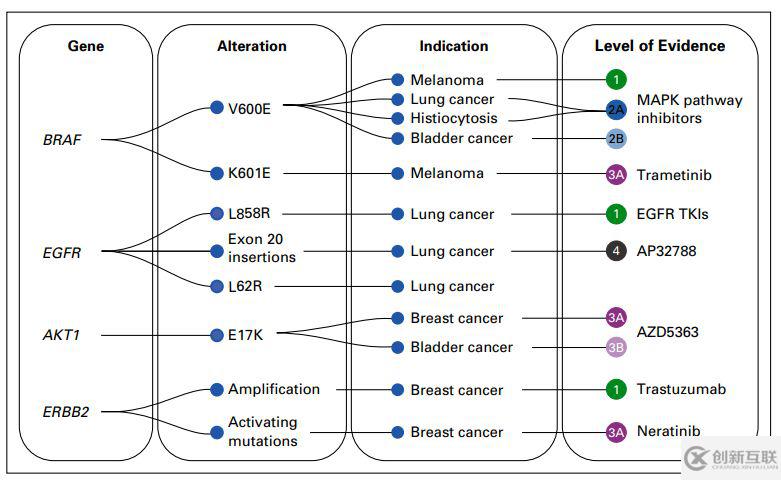 OncoKB数据库有什么用