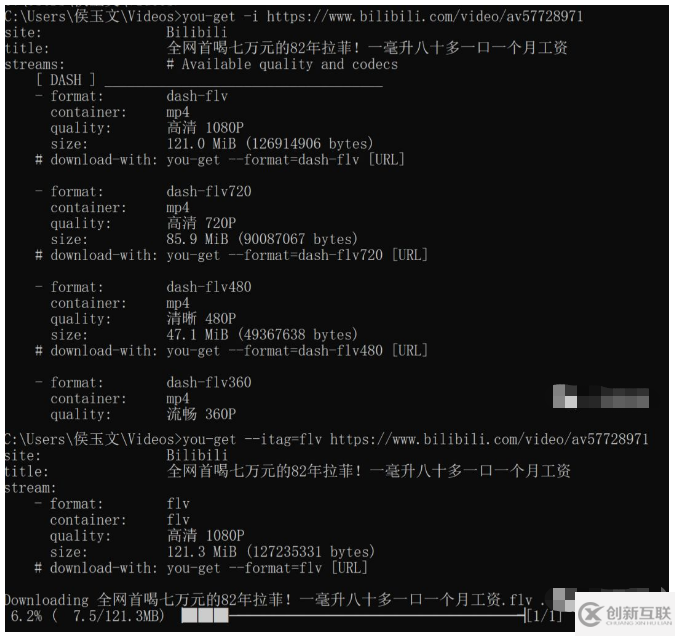 如何用一行python代码下载全网视频