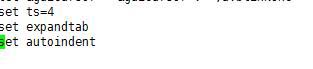 在vim中设置tab缩进为4个字符