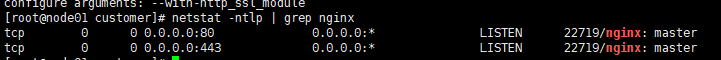 如何在linux环境中安装Nginx1.16.0