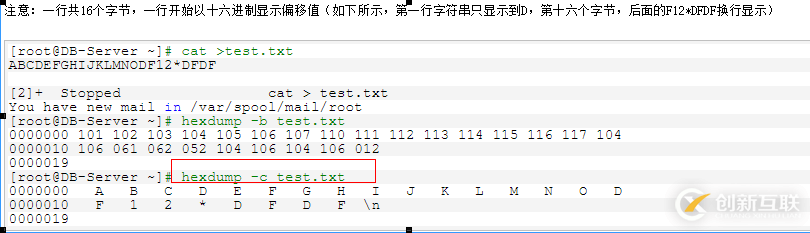 linux如何查看二进制文件内容