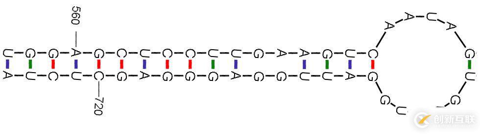 RNA二级结构表示法Dot-Bracket notation如何理解