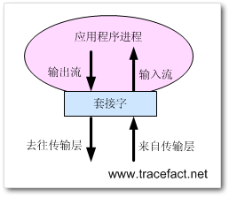 C#网络编程TCP基本概念是什么