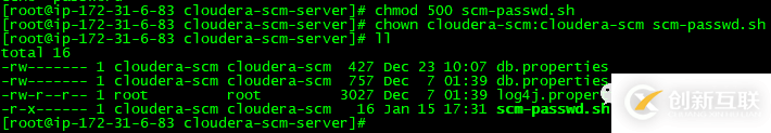 如何对Cloudera  Manager的数据库密码进行脱敏